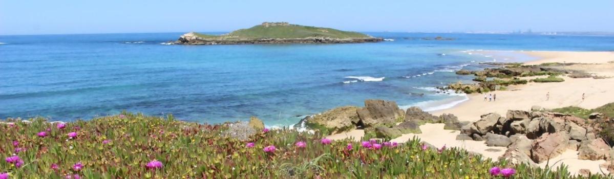 Casa Sol E Areia Villa Eira Nova Porto Covo Kültér fotó